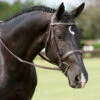 Dy'on Fancy Stitch Wide Noseband Bridle -Equestrian Gear Shop bridle5 8a50a5b1 e847 4071 a99a 8a7f5cf16b2e