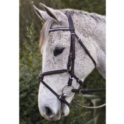 Nunn Finer Padded Figure 8 Noseband With Interchangeable Button Pieces 11 Nunn Finer Padded Figure 8 Noseband With Interchangeable Button Pieces -Equestrian Gear Shop bridle7 93402.1588702952.1280.1280
