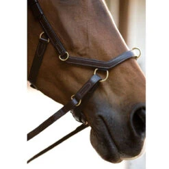 Horseware Rambo Micklem Multibridle -Equestrian Gear Shop bridle7 dbdae65c 834f 4c38 82af 05b9ee064b97