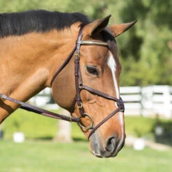 Nunn Finer Padded Figure 8 Noseband With Interchangeable Button Pieces 12 Nunn Finer Padded Figure 8 Noseband With Interchangeable Button Pieces -Equestrian Gear Shop bridle9 40869.1588702952.1280.1280