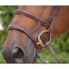 Dyon Double Noseband - D Collection 1 Dyon Double Noseband - D Collection -Equestrian Gear Shop dyon doublenoseband