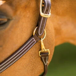Walsh British Halter -Equestrian Gear Shop halter11