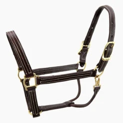 Walsh British Halter -Equestrian Gear Shop halter7