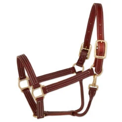 Walsh British Halter -Equestrian Gear Shop halter 6151eb20 927d 4a79 86ce fb6feb52a3eb