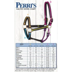 Perri's 1" Leather Turnout Halter -Equestrian Gear Shop halter 55071.1588010940.1280.1280