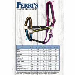 Perri's 1" Crown Piece -Equestrian Gear Shop halter size 84181.1588106269.1280.1280