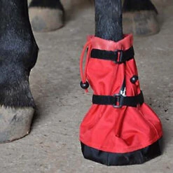Hoof Wraps Soaker -Equestrian Gear Shop hoof wrap soaker 38233.1590432762.1280.1280