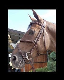 Dyon Hunter Collection Figure 8 Bridle