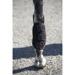 Ice Horse Tendon Wrap -Equestrian Gear Shop ice horse tendon wrap5 36438.1588363182.1280.1280