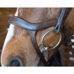 Nunn Finer Innovativo Shaped Bridle 8 Nunn Finer Innovativo Shaped Bridle -Equestrian Gear Shop innovatio3