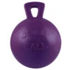 Jolly Ball With 10" Handle -Equestrian Gear Shop purpleball 04460.1584456040.1280.1280