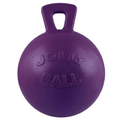Jolly Ball With 10" Handle