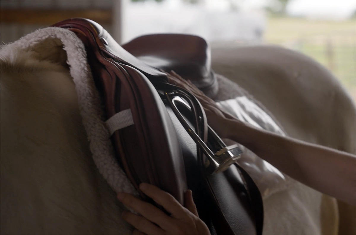 Equestrian Gear Shop -Equestrian Gear Shop saddle